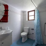 Leleka Χάλκη